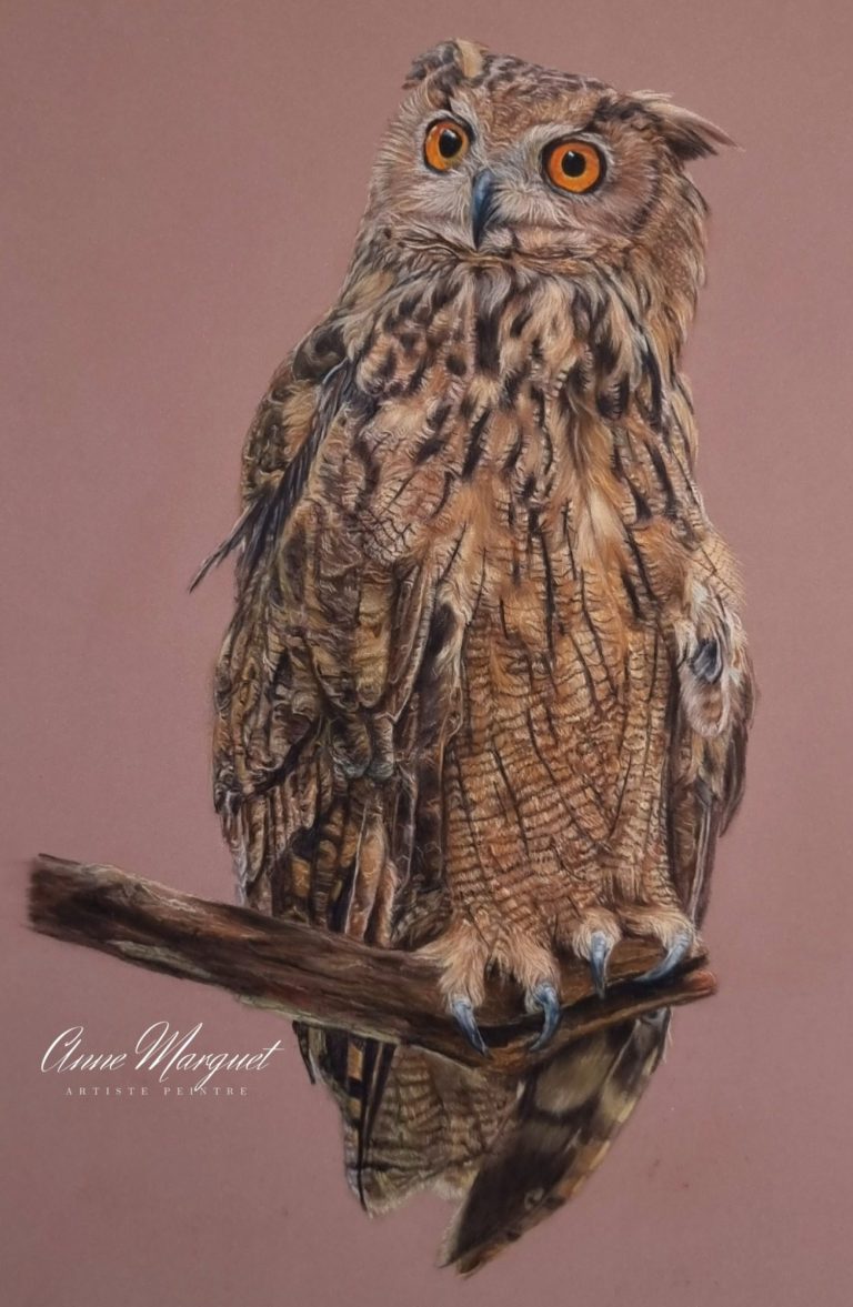 Hibou aux yeux orange, plumage brun et tacheté, perché sur une branche.