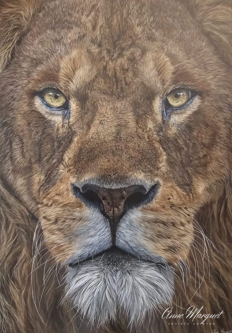 Tête d'un lion avec un regard perçant et une crinière majestueuse.