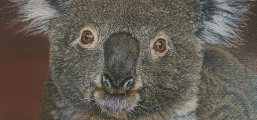 Gros plan sur la tête de Koobor le koala, peinture acrylique d’Anne Marguet, détails réalistes du pelage et du regard