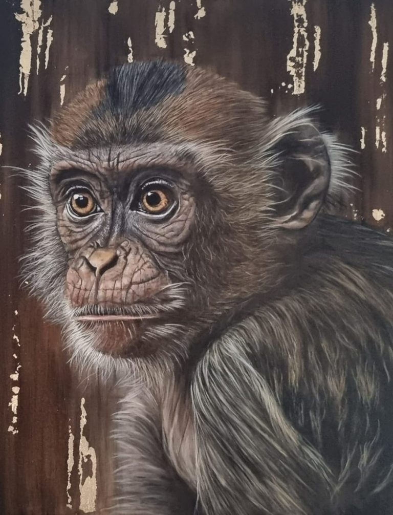 “Gold Monkey” – Acrylic portrait of an expressive monkey by Anne Marguet Acrylic painting “Gold Monkey” by Anne Marguet, featuring a small monkey with an expressive gaze on an abstract background, as if ready to s