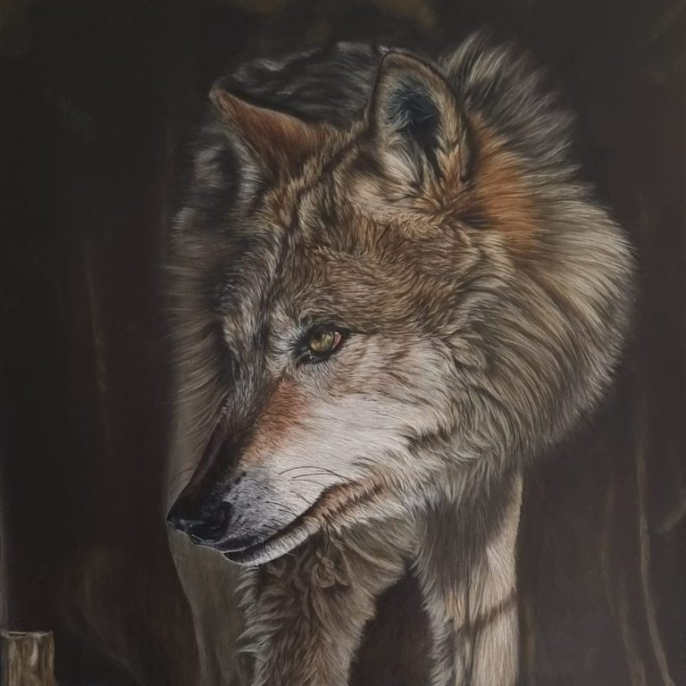 Loup solitaire debout dans un paysage enneigé, regard attentif