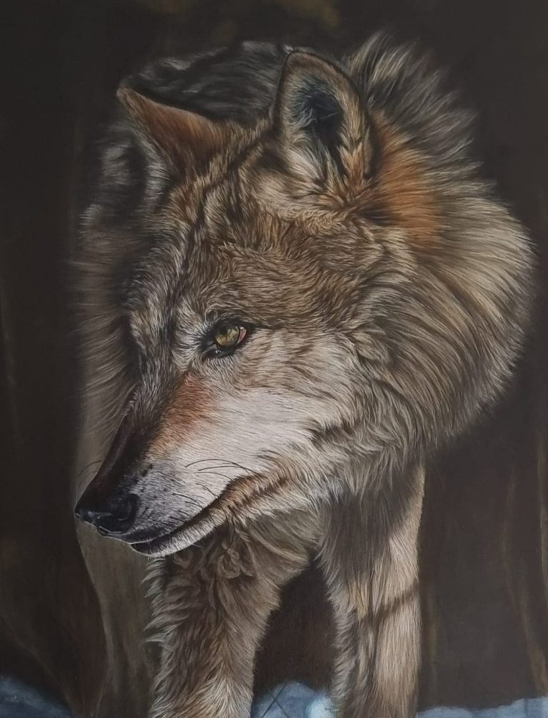 “Prudence” – Acrylic wolf painting in snow by Anne Marguet Acrylic painting “Prudence” by Anne Marguet, depicting a wolf cautiously moving through the snow with a majestic mane and captivating eyes.