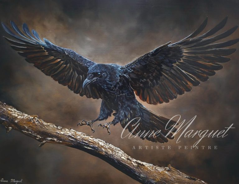 Le Messager - Le corbeau . Peinture Acrylique sur toile par l'artiste Anne Marguet