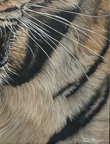 Gros plan sur les rayures du tigre du Bengale, texture du pelage peint à l’acrylique
