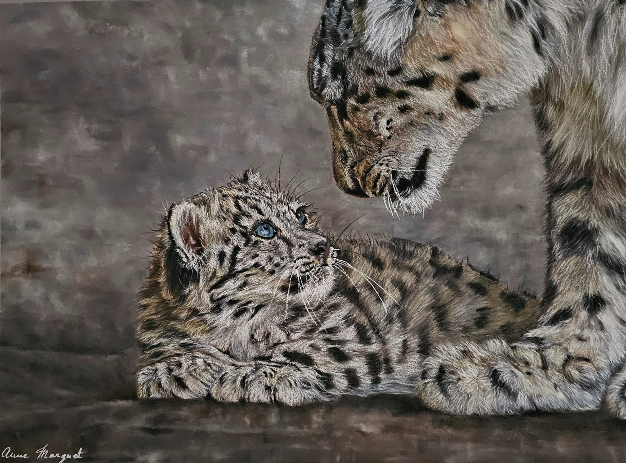 Oui, Maman – Portrait au pastel d’un léopard des neiges et de son petit par Anne Marguet Pastel d’un léopard des neiges et de son petit – Œuvre d’Anne Marguet, artiste peintre animalier
