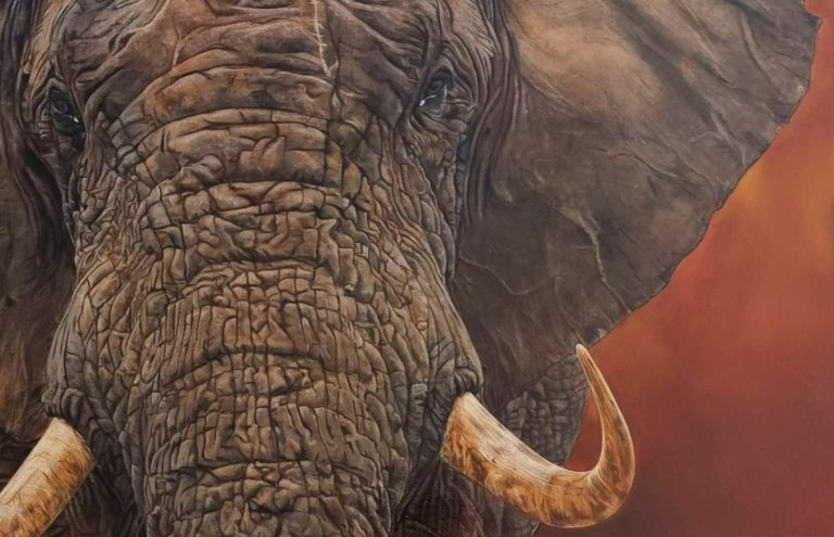  Éléphant en marche dans une terre rougeâtre, œuvre "Le Chemin du Sage".
