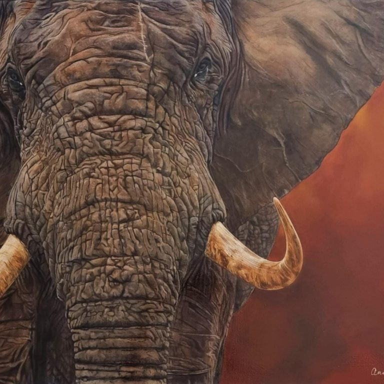 Le Chemin duSage est une peinture animaliere réalisée à l'acrylique.