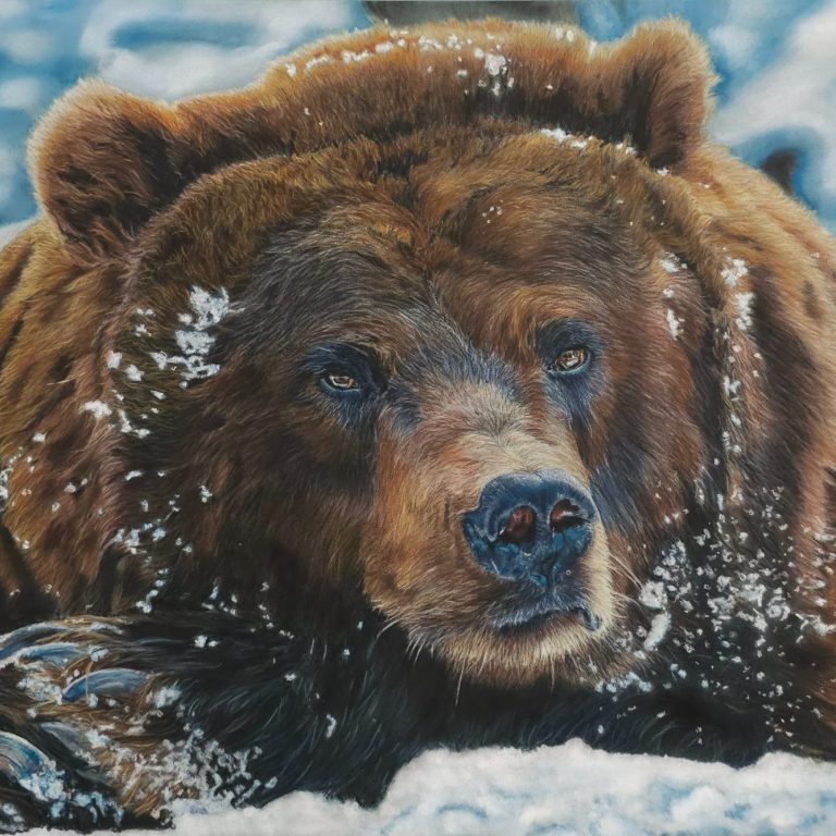 Gros plan pastel de la tête d'un ours réaliste allongé dans la neige, oeuvre d'art animalier


