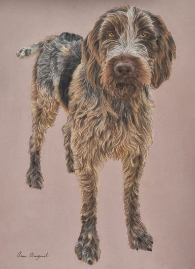 Portrait au pastel d’un chien de chasse