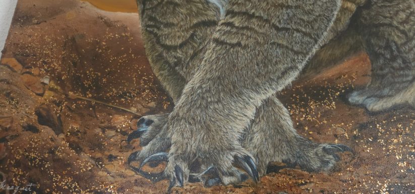 Zoom sur un détail de la peinture "Koobor le koala" d’Anne Marguet, œuvre acrylique animalière