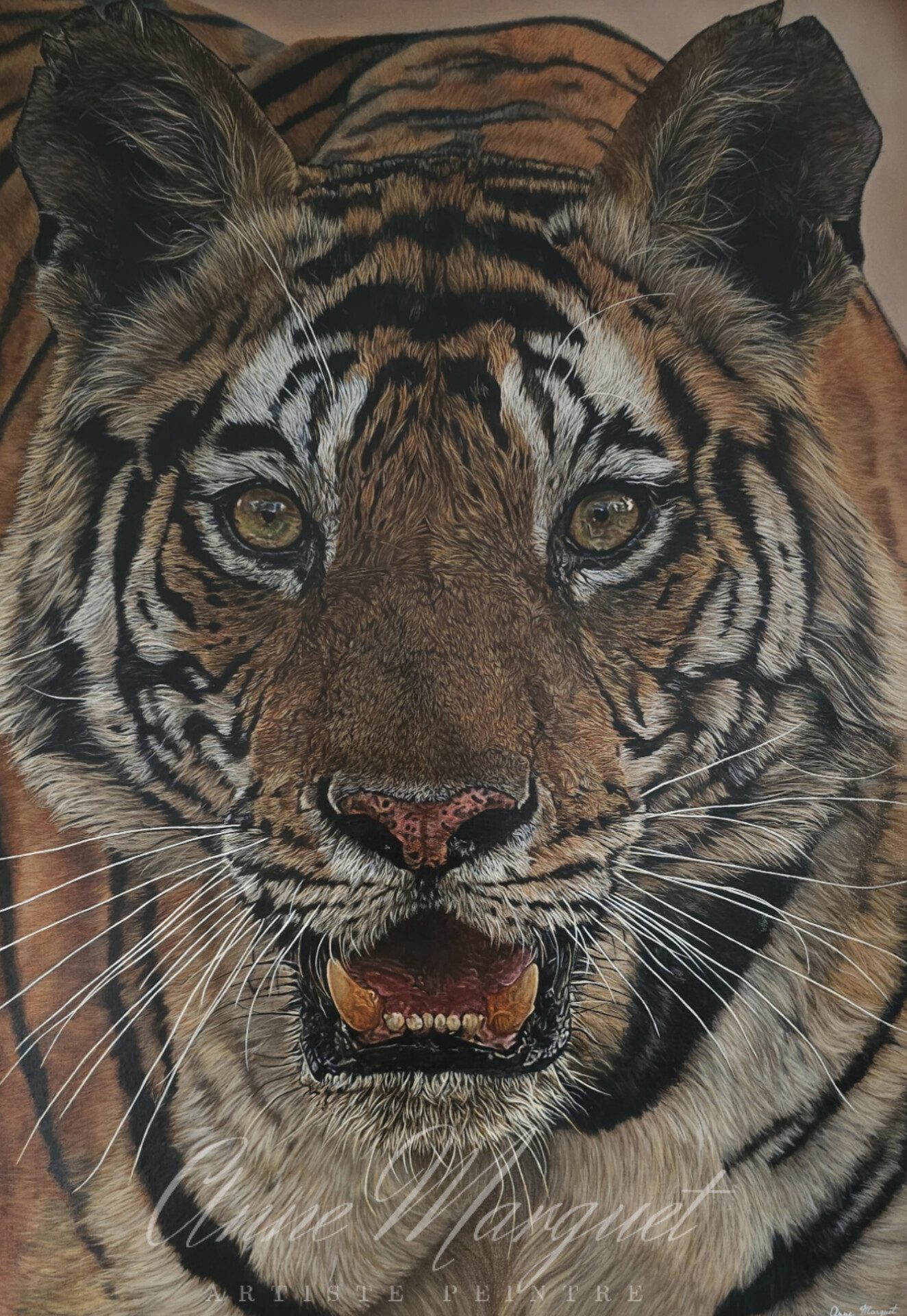 Face à face - le tigre du Bengale – Peinture acrylique animalière Peinture acrylique d’un tigre du Bengale en gros plan, regard intense face au spectateur, œuvre animalière signée Anne Marguet