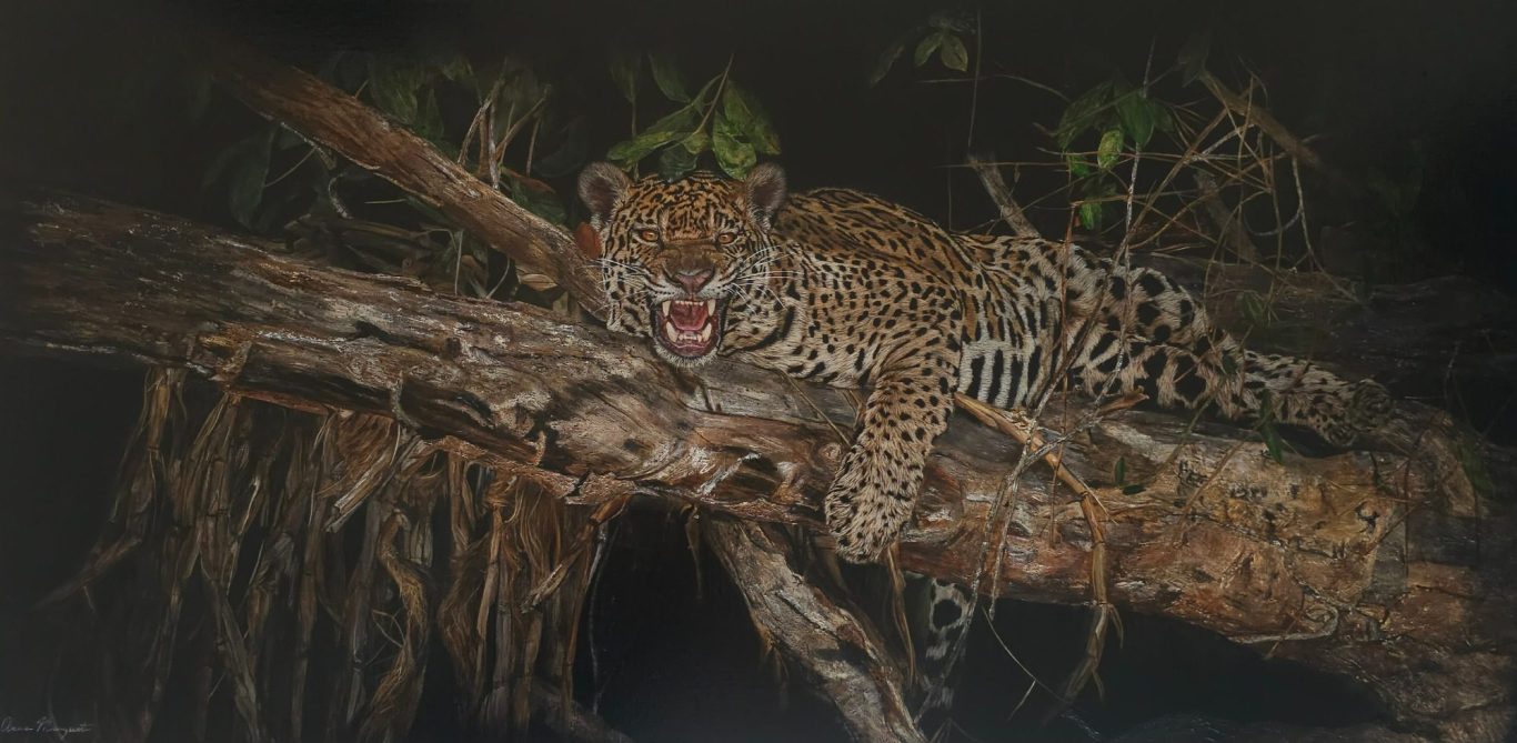 “Nuit amazonienne” – Hyper-realistic acrylic jaguar by Anne Marguet Acrylic painting “Nuit amazonienne” by Anne Marguet, depicting a hyper-realistic jaguar resting on a tree branch in the Amazonian night.