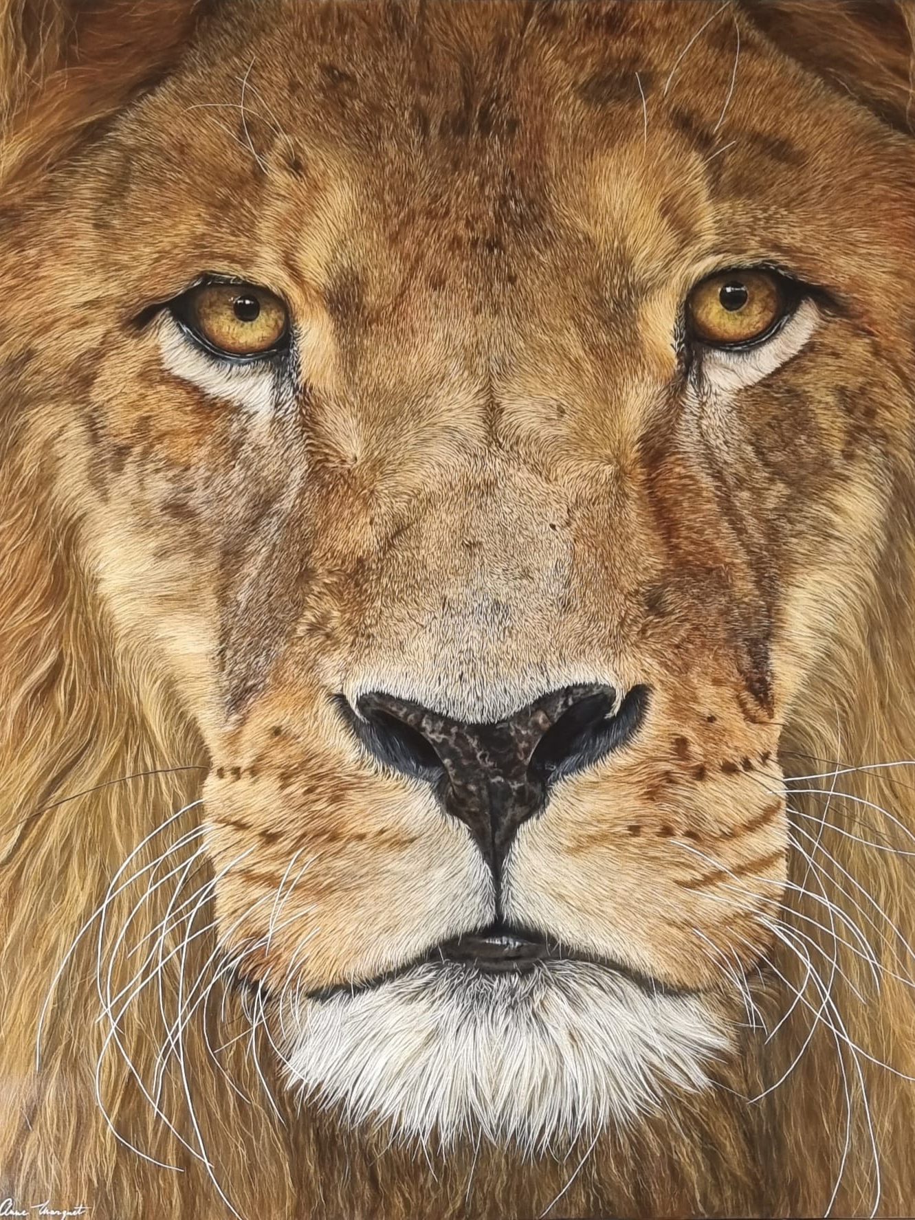 El Rey, peinture acrylique hyperréaliste d’un lion en très gros plan, toile de 89 × 116 cm

