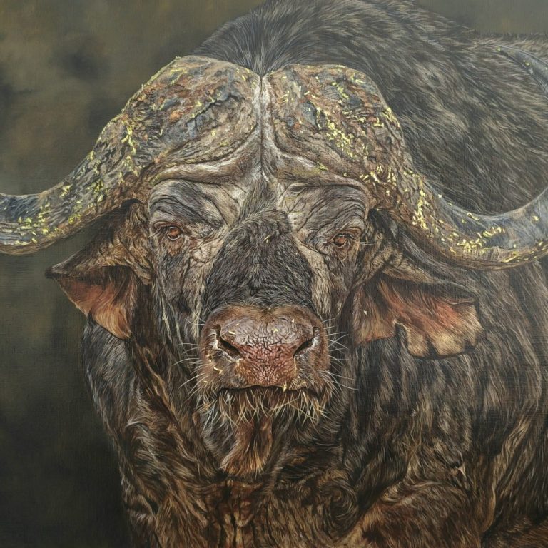 Le Chemin duSage est une peinture animaliere réalisée à l'acrylique.