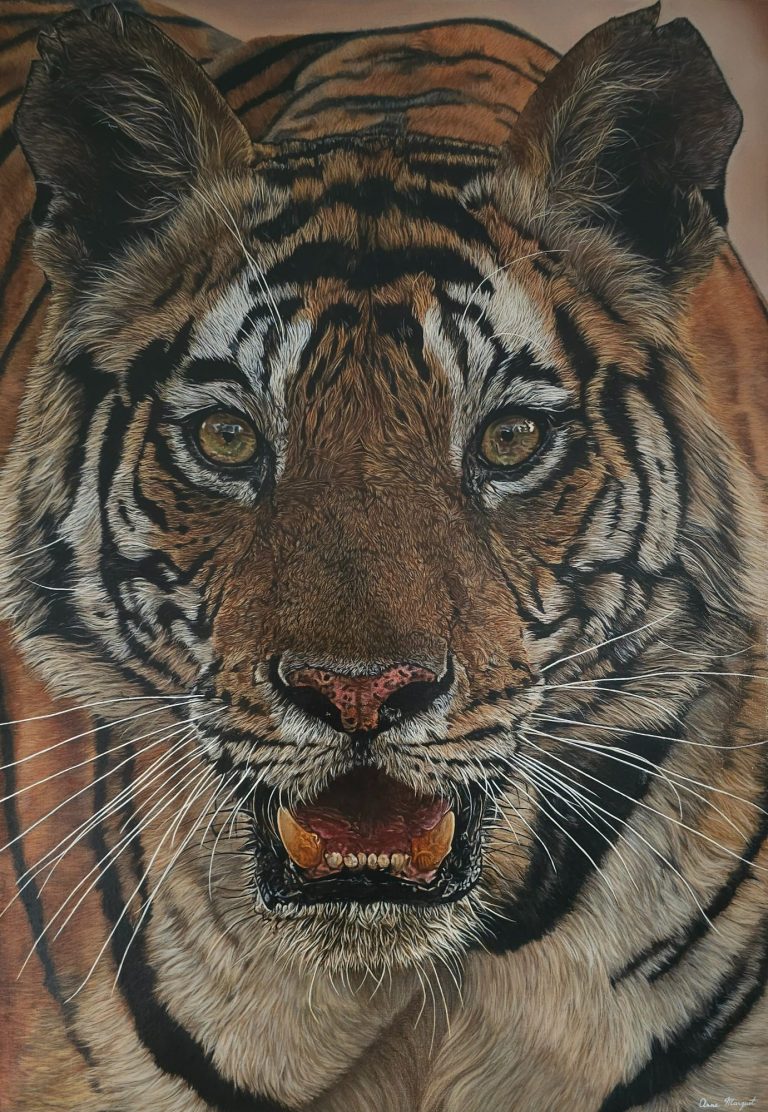 “Face à face” – Hyper-realistic Bengal tiger acrylic by Anne Marguet Close-up acrylic painting “Face à face” by Anne Marguet, a hyper-realistic portrait of a Bengal tiger.
