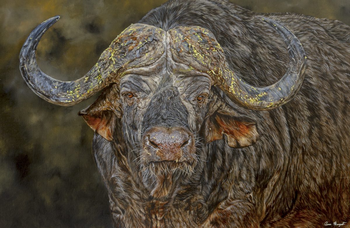 Portrait puissant d’un buffle du Cap peint à l’acrylique 
