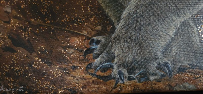Détail en gros plan des pattes de Koobor le koala, tableau acrylique animalier signé Anne Marguet