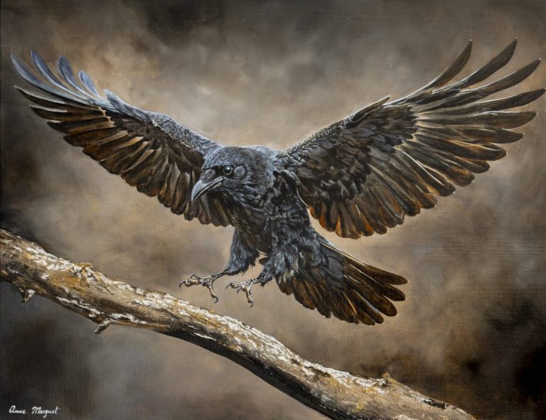 Le Messager - Le Corbeau par Anne Marguet Le Messager - Le corbeau . Peinture Acrylique sur toile par l'artiste Anne Marguet