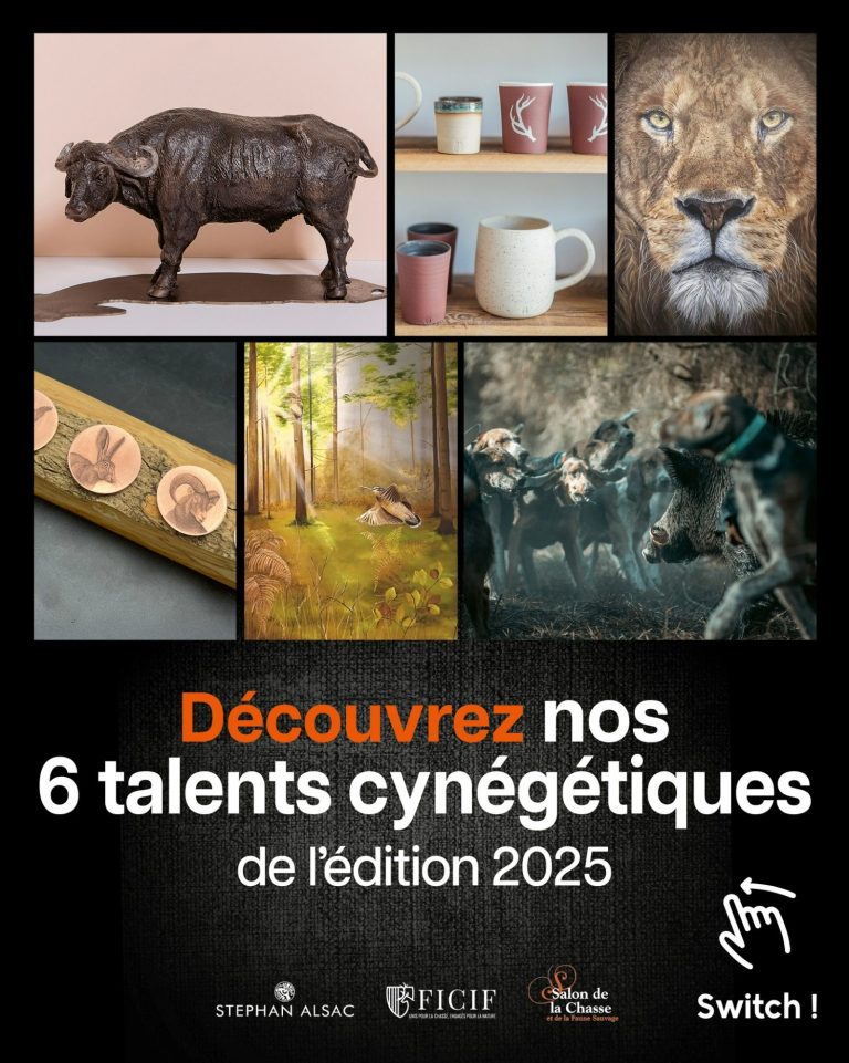 Six talents cynégétiques pour l'édition 2025 avec diverses illustrations artistiques.