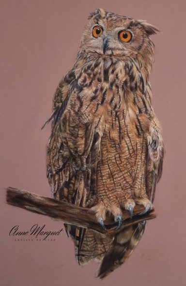 Plume de nuit - le Hibou- portrait pastel 