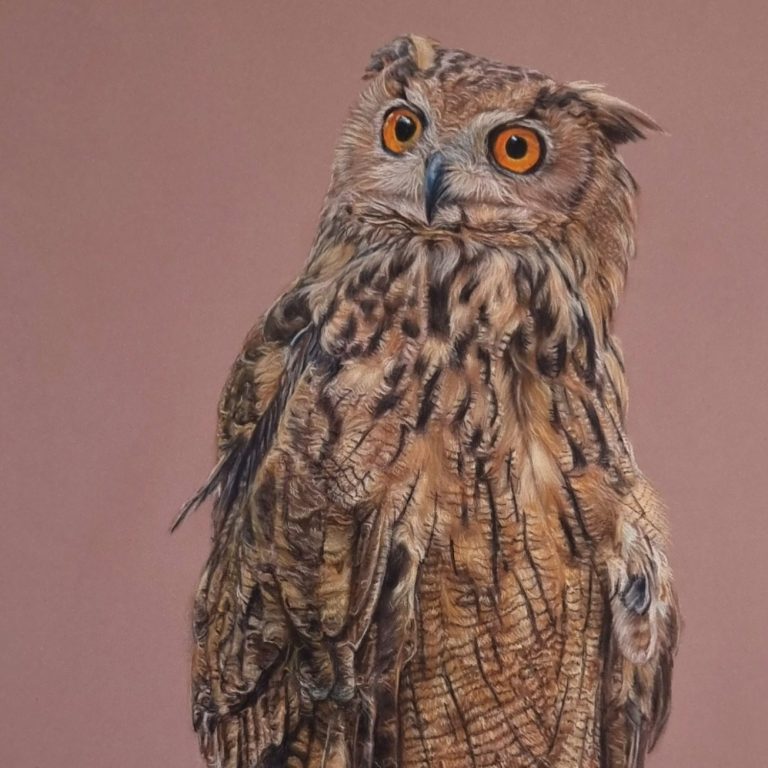 Hibou posé dans la nuit, plumes douces et regard attentif