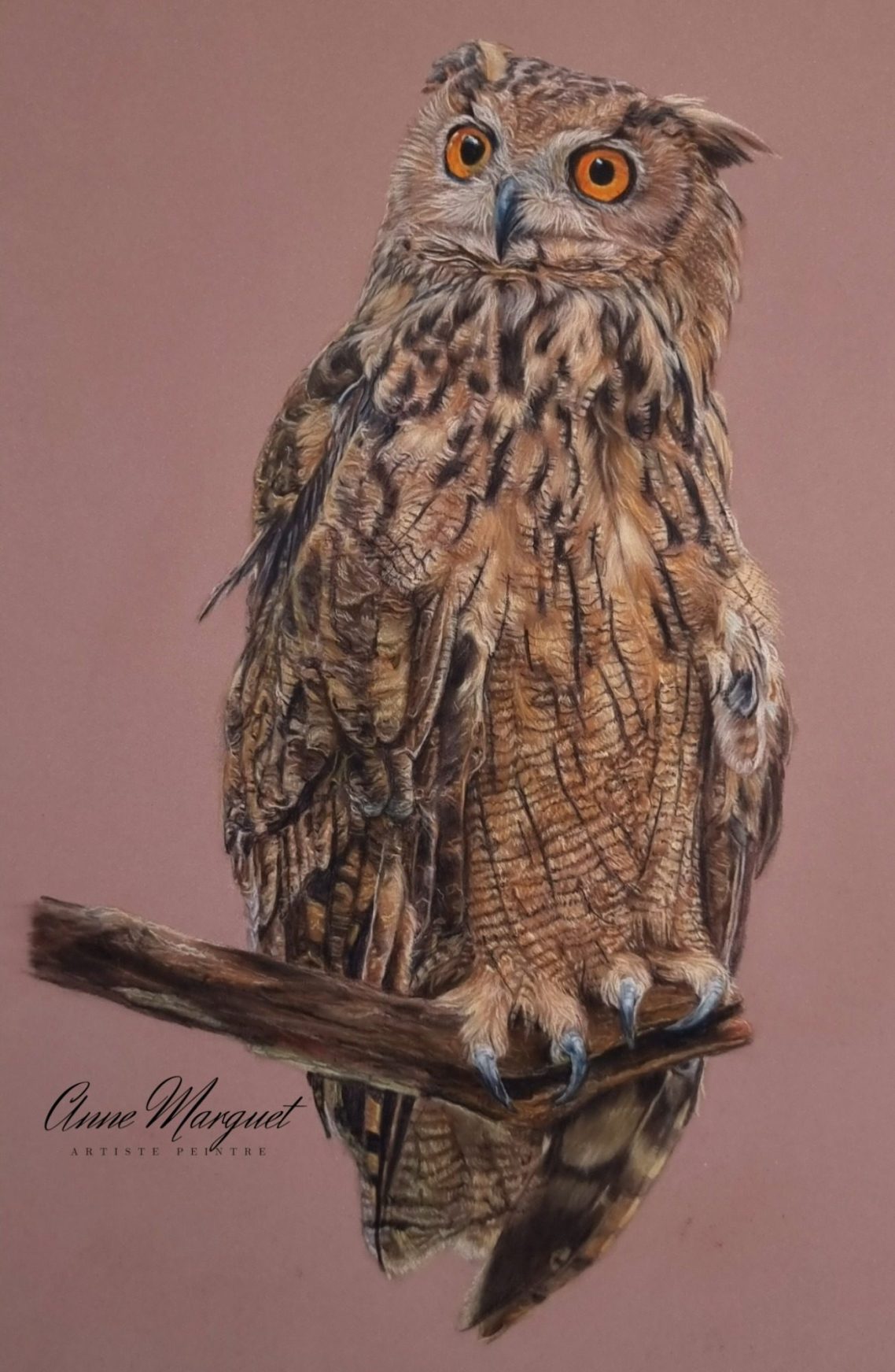 Plume de nuit — Hibou de jour, symbole mystérieux de la nuit Hibou posé sur une branche, plumage finement travaillé au pastel, symbolisant la nuit