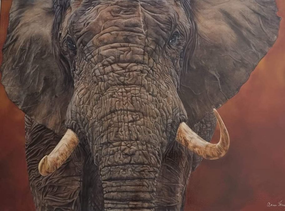 Tête d'éléphant avec une texture de peau détaillée sur fond rouge.