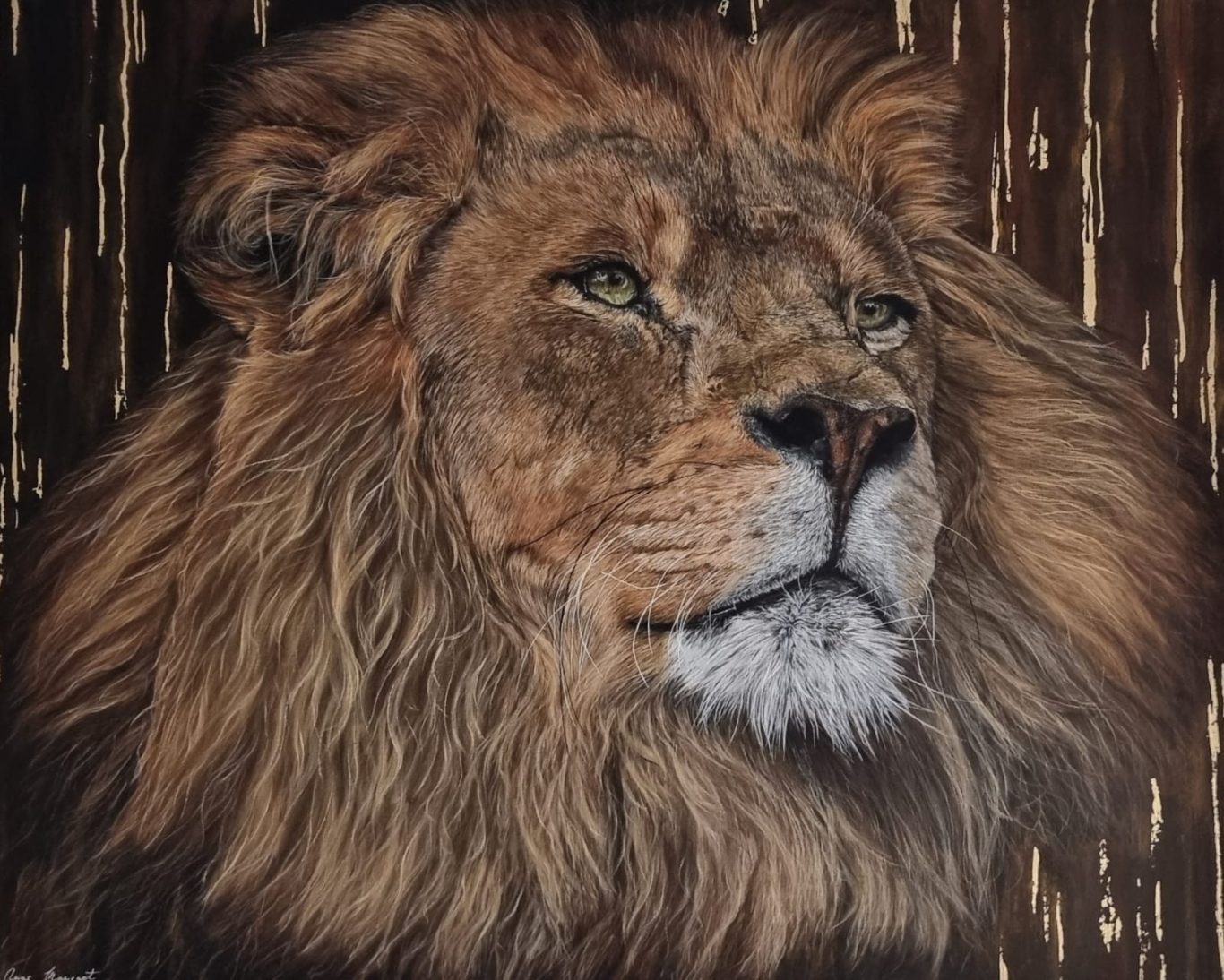 Lion majestueux avec une crinière fournie, regardant au loin.