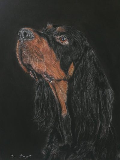 Portrait d'un chien, regard intense, poils ondulés et couleur sombre.