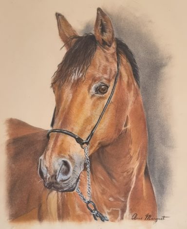 Portrait de cheval marron à la robe lustrée, au pastel
