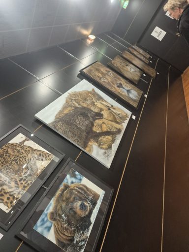 Œuvres d’Anne Marguet exposées au Palais des Congrès de Perpignan lors de l’exposition Rêves d’Artiste 2025