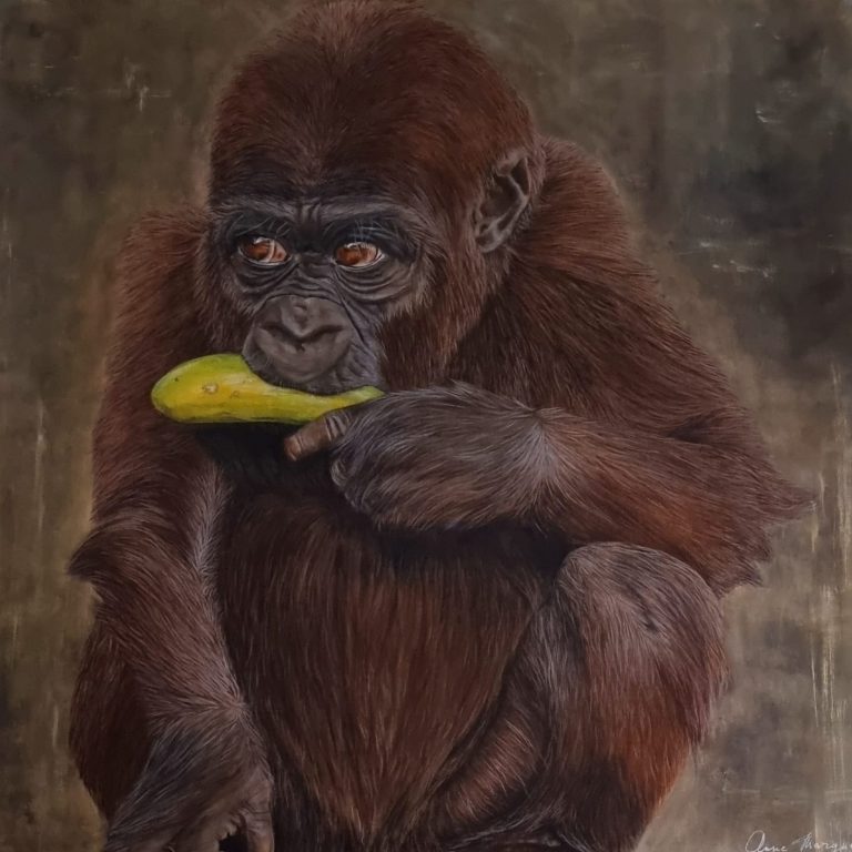 Singe au regard expressif et sincère sur fond doux
