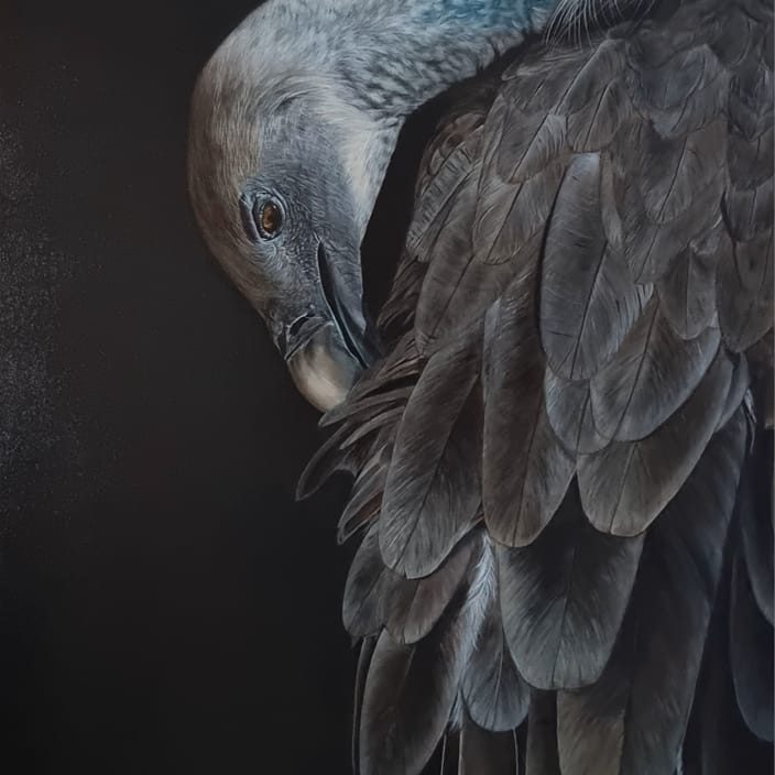 Vautour majestueux posé, plumes sombres et regard perçant dans la nature sauvage
