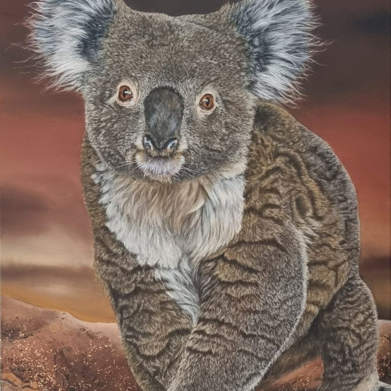 Koobor le Koala-peinture acrylique d'Anne Marguet