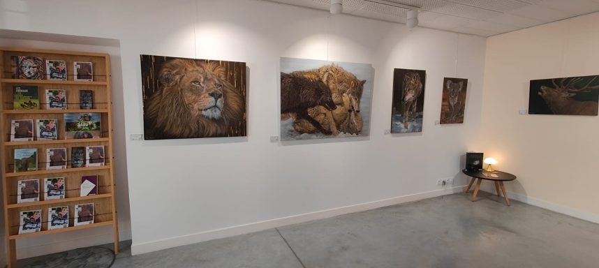 Vue de l'exposition animalière d'Anne Marguet à la médiatheque Arthur Conte