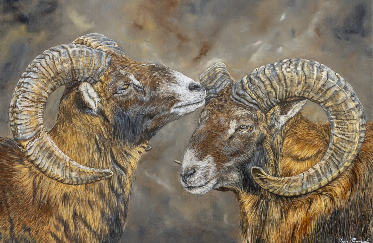 Peinture animalière originale montrant deux mouflons évoluant dans un paysage rocheux de montagne, symbole de force et de vigilance 
