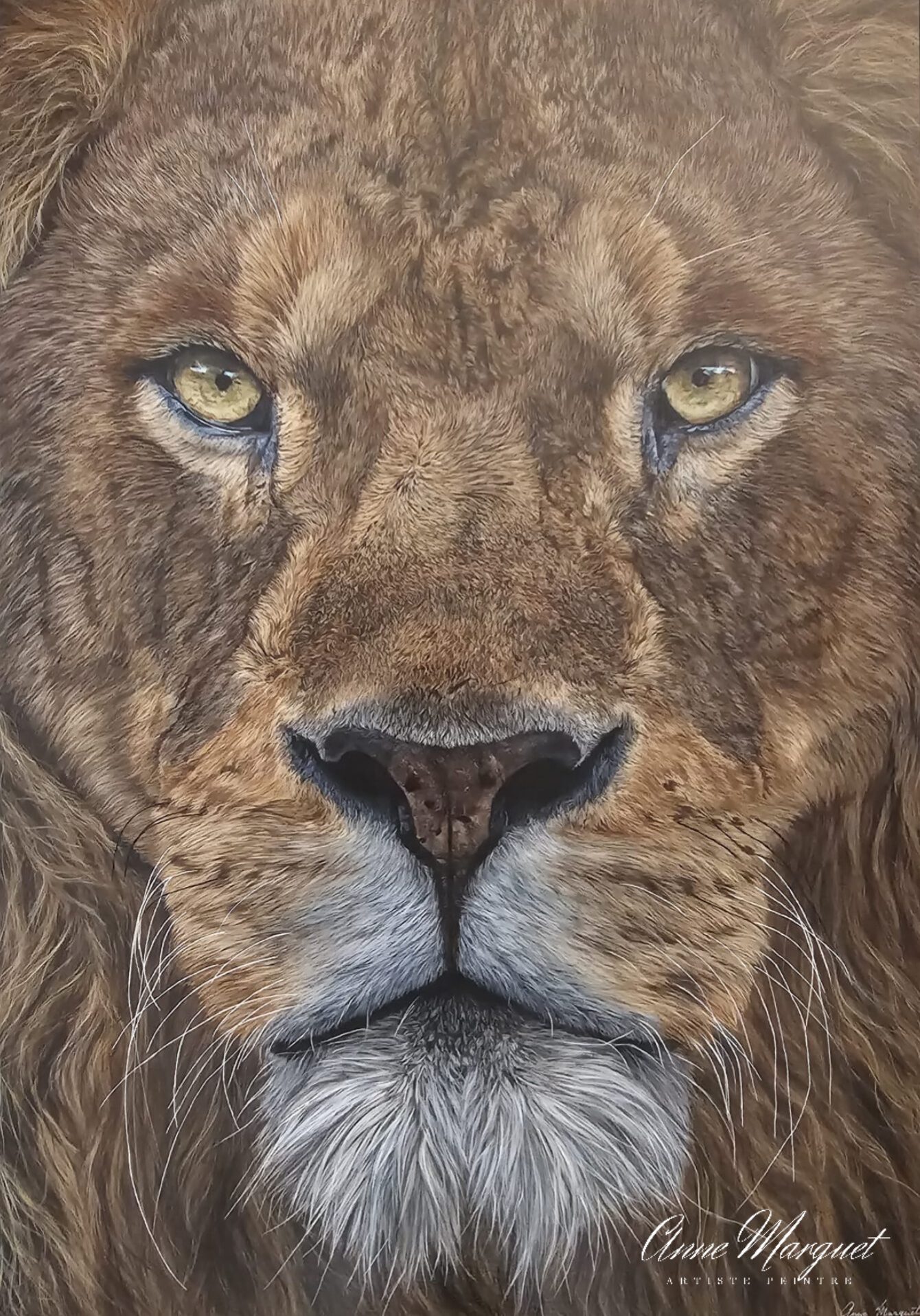 Fascination – Portrait réaliste de lion – Anne Marguet Portrait hyperréaliste d’un lion en gros plan, “Fascination”, tableau à l’acrylique par Anne Marguet