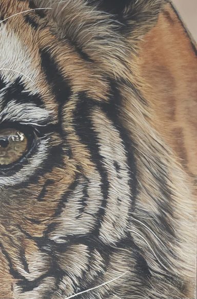 Zoom sur les rayures du tigre du Bengale, texture du pelage peint à l’acrylique