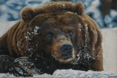Tête d’ours, regard profond, portrait au pastel