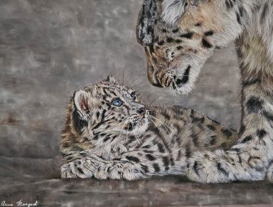 Léopard des neiges avec son petit, regard tendre, pastel